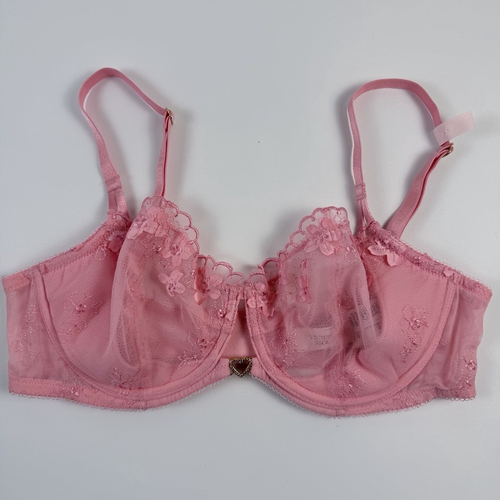 Victoria's Secret Bra Wicked Pretty Petals Unlined Pink Embroidery Bra 32DDD NWT